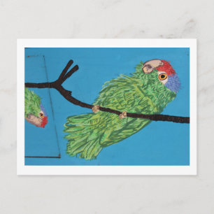 green parrot postcard