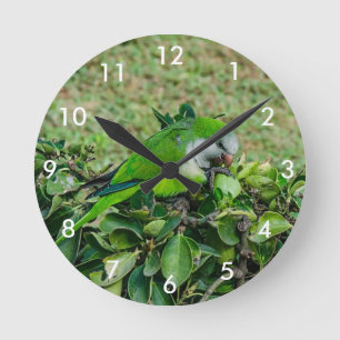 Green parrot round clock