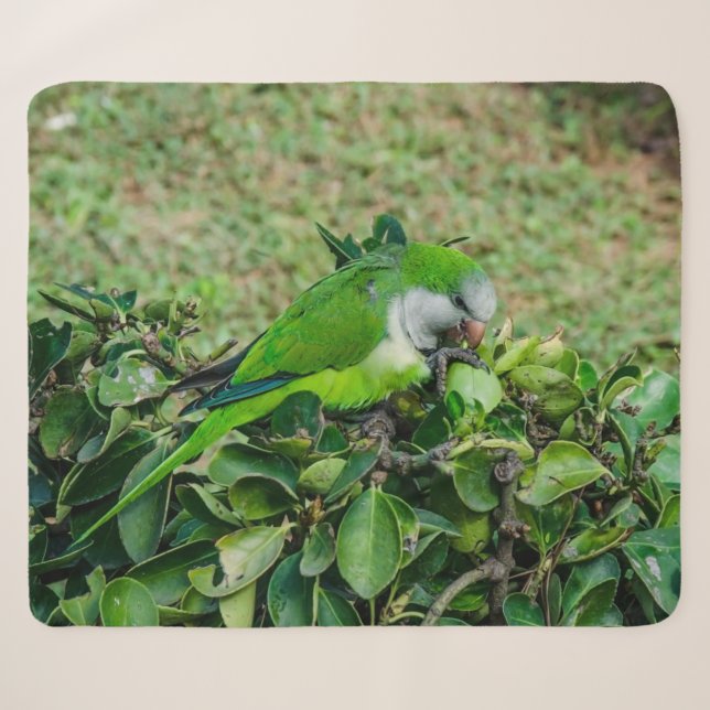 Green parrot sherpa blanket (Front (Horizontal))