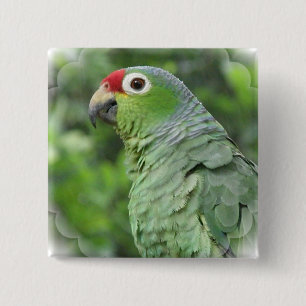 Green Parrot Square Pin