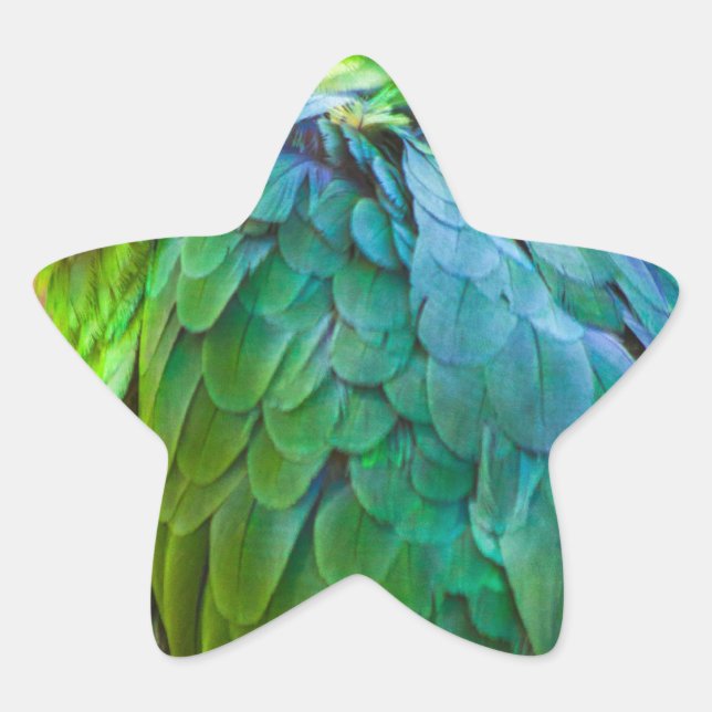 Green Parrot Star Sticker (Front)