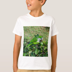 Green parrot T-Shirt
