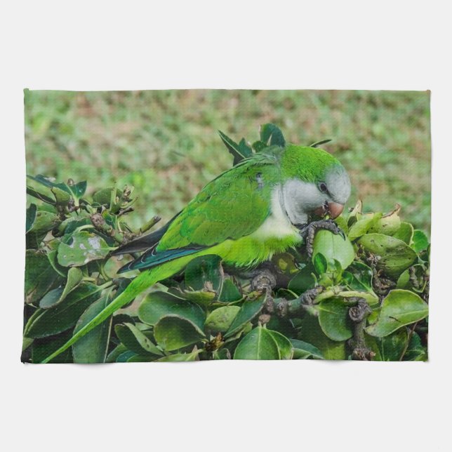Green parrot tea towel (Horizontal)