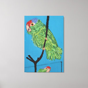 green parrot wrapped canvas