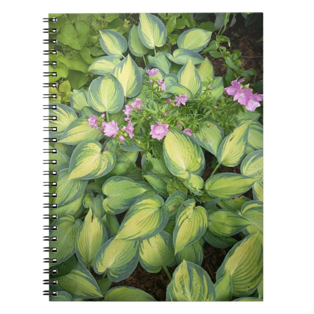 Green Passion Flower Botanical Notebook | Tropical (Front)