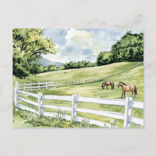 Green Pastures Ranch Horses Postcard
