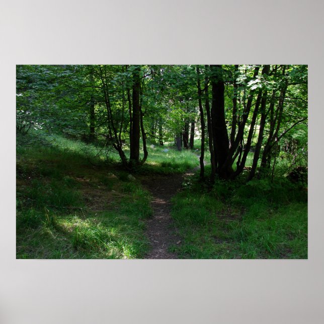 Green Path Poster (Front)