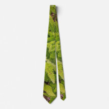 Green pattern Neck Tie