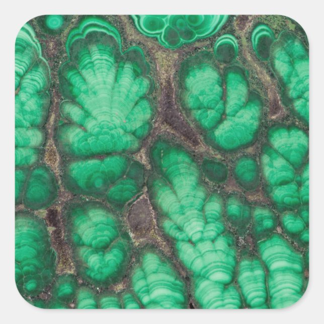Green Patterned Malachite Square Sticker (Front)