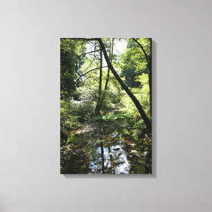 "Green Peace", Muir Woods Canvas Print