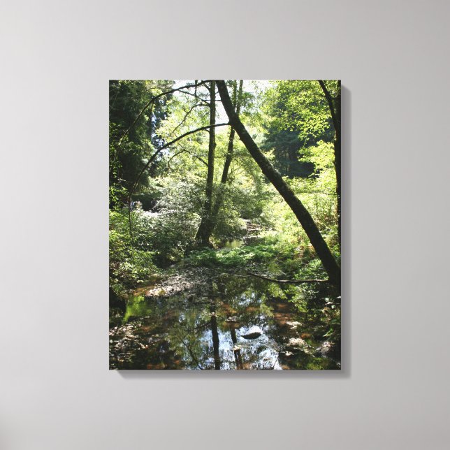 "Green Peace", Muir Woods Canvas Print (Front)