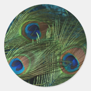 Green Peacock Feather Classic Round Sticker