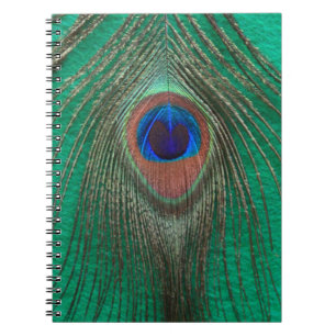 Green Peacock Feather Notebook