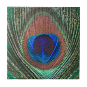 Green Peacock Feather Tile