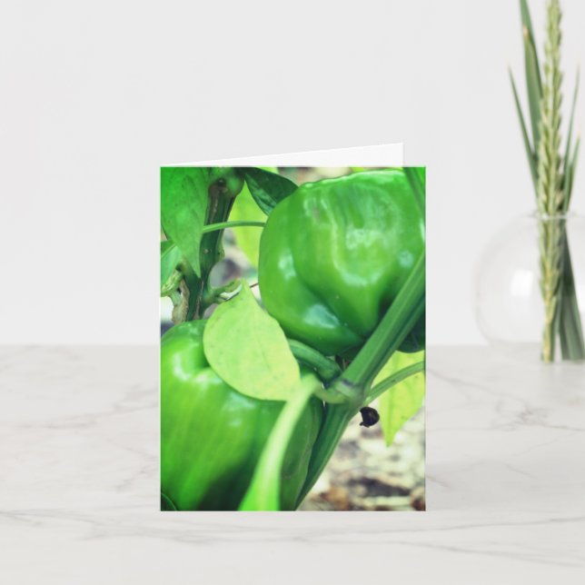 Green Peppers Garden Nature Note Card (Front)