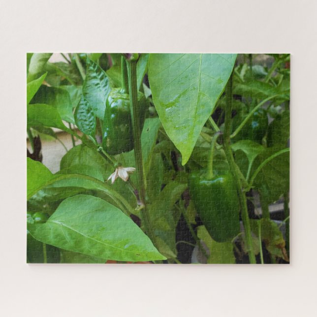 Green Peppers Jigsaw Puzzle (Horizontal)