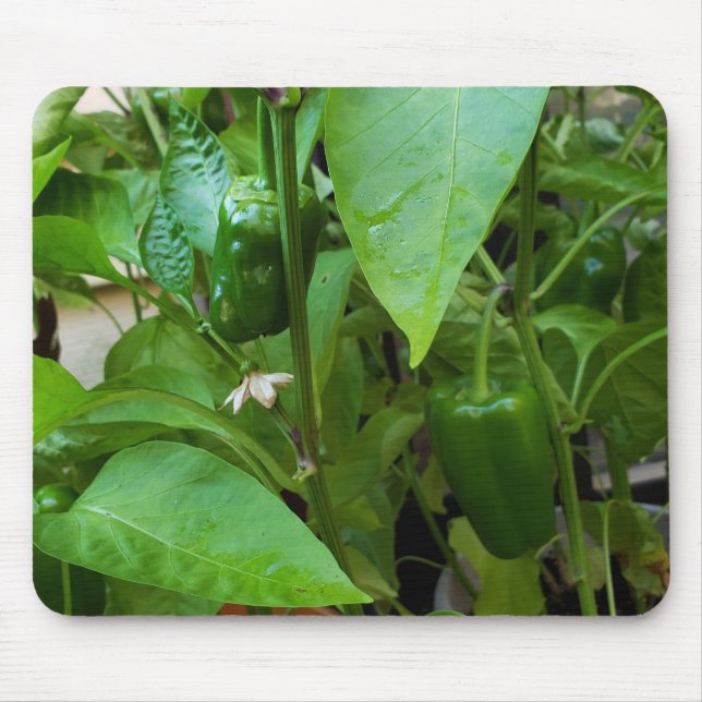 Green Peppers Mouse Mat (Front)