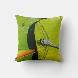 green Pillow blue grey dragonfly, green eyes