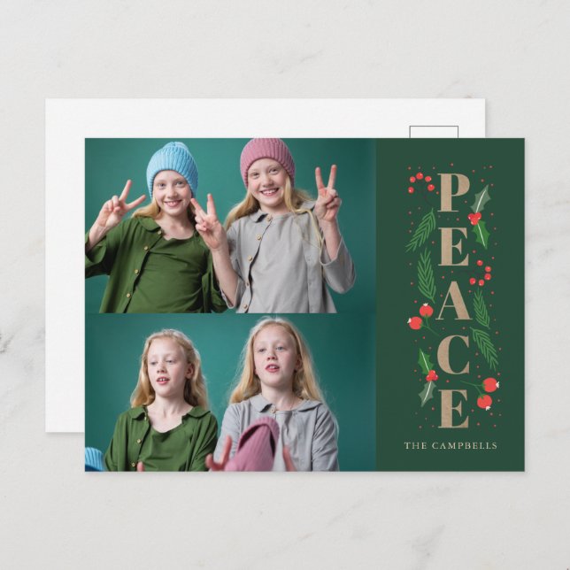 Green Pine Holly Berries Peace Multiple Photo  Holiday Postcard (Front/Back)