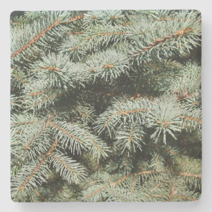 Green Pine Limbs Square coaster