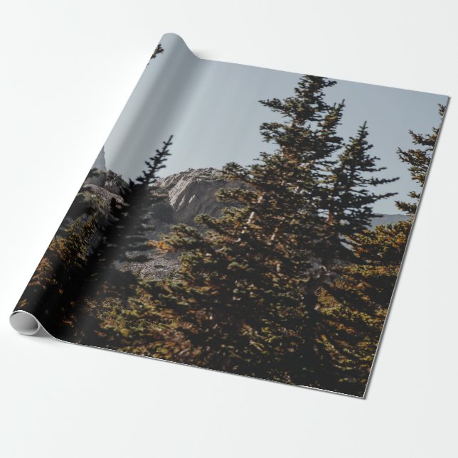 GREEN PINE TREES NEAR MOUNTAIN DURING DAYTIME WRAPPING PAPER (Unrolled)