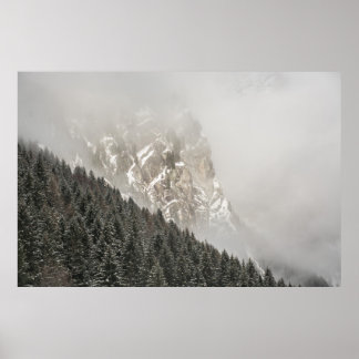 GREEN PINE TREES POSTER