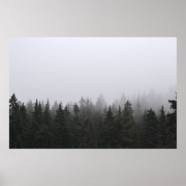 GREEN PINE TREES UNDER WHITE SKY POSTER (Front)