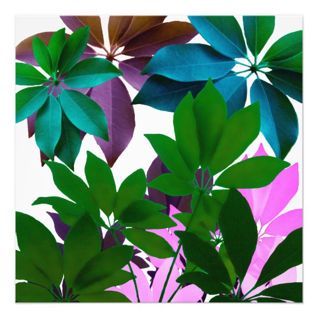 Green & Pink Leaves Professional Photo Paper (Front)