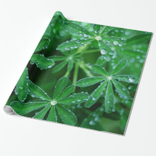 Green Pinwheels of Leaves with Raindrops Wrapping Paper