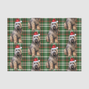 Green Plaid Briard Shepherd Dog Lover Holiday Tissue Paper