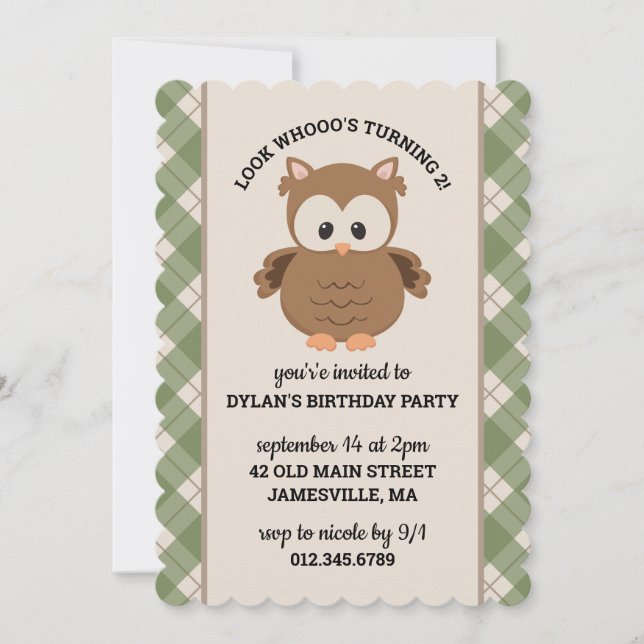 Green Plaid Cute Retro Owl Birthday Invitation (Front)