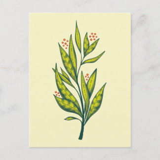 Green Plant Botanical Art Nature Lover Postcard