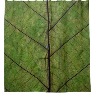 Green plant leaf close-up photography shower curtain