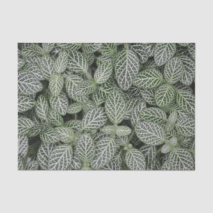 Green Plant Leaves Botanical Tissue Paper