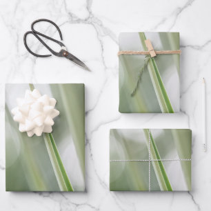 Green Plant Nature Photo Wrapping Paper Sheet