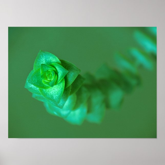 Green Plant Portrait Poster (Front)