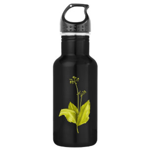 Green Plant Wild Garlic Botanical 532 Ml Water Bottle