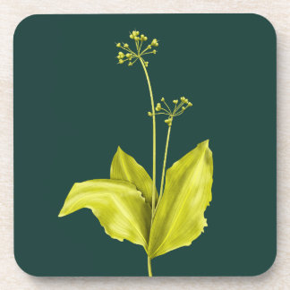 Green Plant Wild Garlic Botanical Coaster
