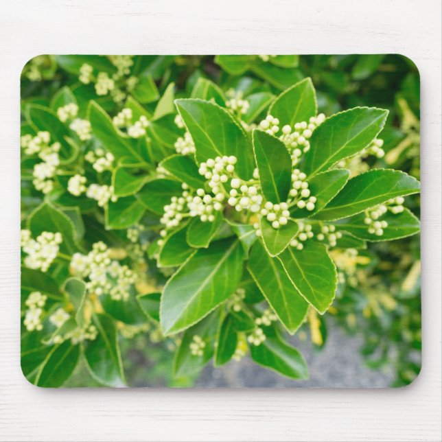 green plants beauty mouse mat (Front)