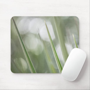 Green pointy Plant Nature Photo Mouse Mat