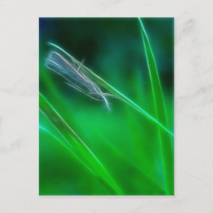 Green Postcard