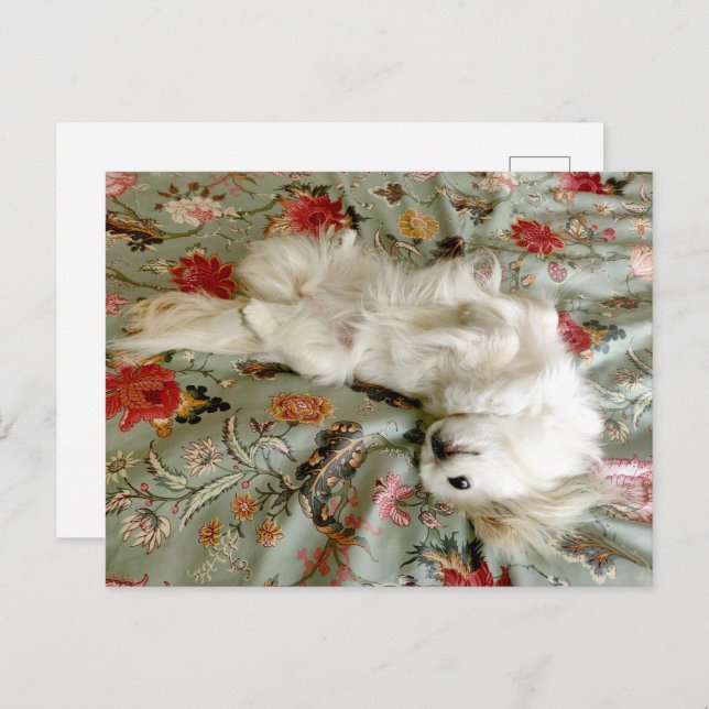 Green Postcard (Front/Back)