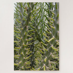 Green Prickly Cactus Plant, Jigsaw Puzzle