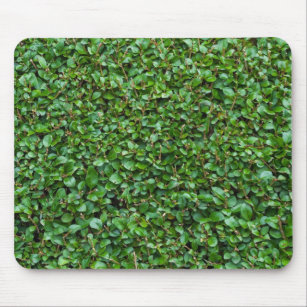 Green Privet Hedge Mouse Mat