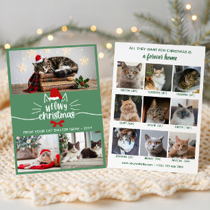 Green Red Santa Hat Cat Shelter Meowy Christmas Holiday Card