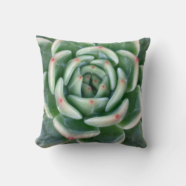 Green Red Tipped Succulent Cushion (Front)