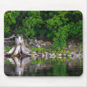 Green Reflections Mouse Mat