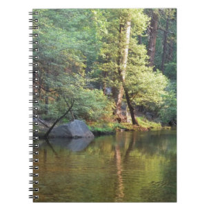 Green Reflections Notebook