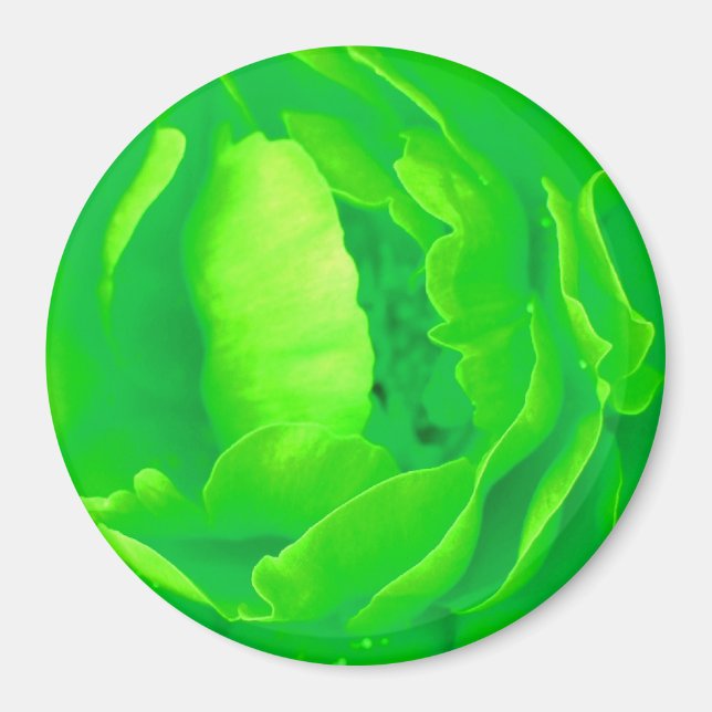 Green Rose Magnet - Customisable (Front)