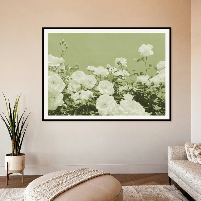 Green Roses Floral Garden Photo Art Print Poster (Creator Uploaded)